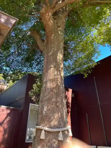 酒列磯前神社(茨城県)