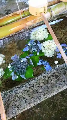 大神神社（花池）の手水舎