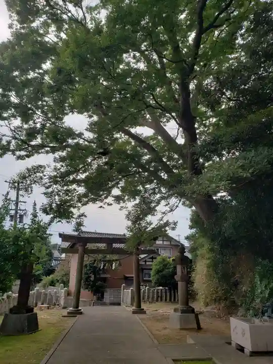 清水八幡神社の鳥居