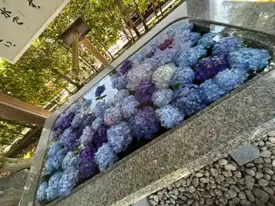 桜神宮(東京都)