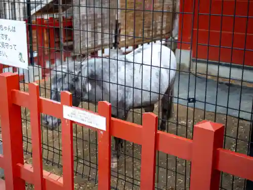 神田神社（神田明神）の{uncategorized: "未分類", other: "その他", undefined: "問題あり", building: "その他建物", grave: "お墓", sacred_gate: "鳥居", guardian: "狛犬", statue: "像", buddha: "仏像", history: "歴史", nature: "自然", garden: "庭園", animal: "動物", pagoda: "塔", temizu: "手水舎", mountain_gate: "山門・神門", sanctuary: "本殿・本堂", subordinate: "末社・摂社", art: "芸術", scenery: "景色", jizo: "地蔵", ema: "絵馬", goshuin: "御朱印", omikuji: "おみくじ", items: "授与品その他", amulet: "お守り", goshuincho: "御朱印帳", eats: "食事", festival: "お祭り", votive_dance: "神楽", shichigosan: "七五三参", wedding: "結婚式", experience: "体験その他", initially: "初詣", around: "周辺", anti_infection: "感染症対策"}