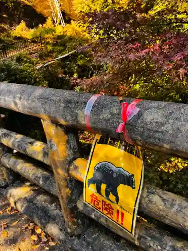 大山阿夫利神社(神奈川県)