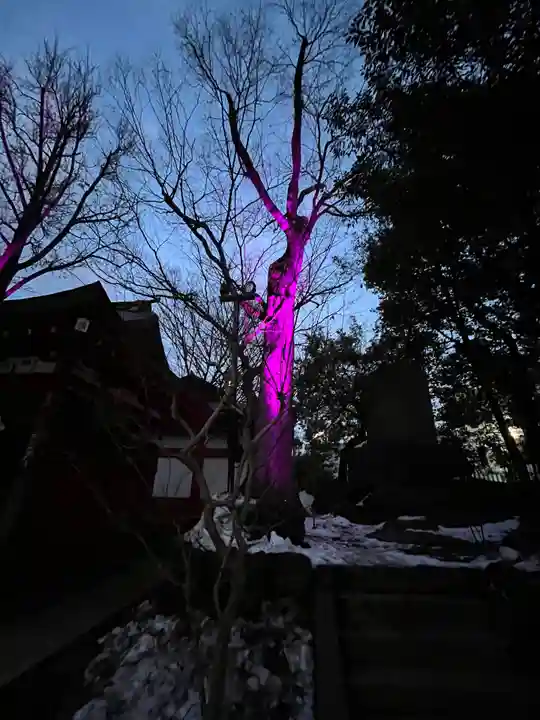 秩父神社(埼玉県)