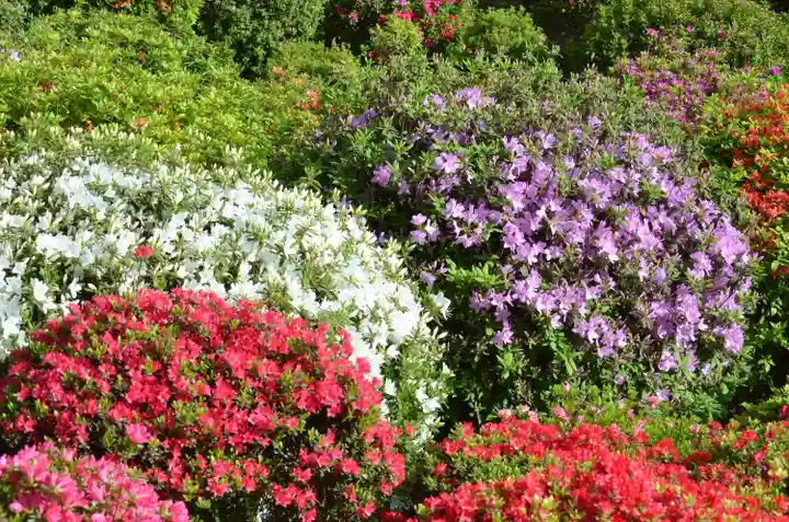 塩船観音寺(東京都)