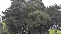荒魂神社(香川県)