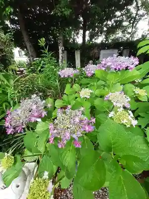 源九郎稲荷神社(奈良県)