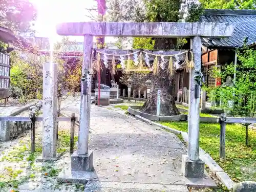 八幡社（松原八幡社）の鳥居