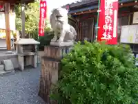 鎌達稲荷神社の狛犬