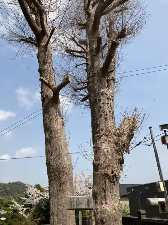 御霊神社(神奈川県)