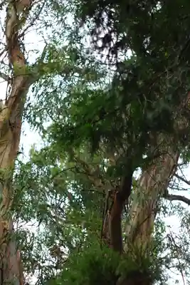 元城町東照宮の自然