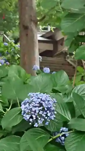 弥生神社の自然