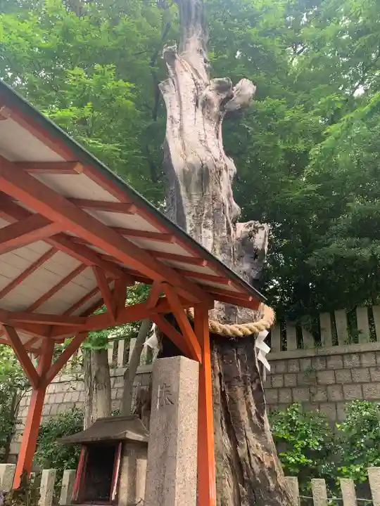 難波大社 生國魂神社(大阪府)