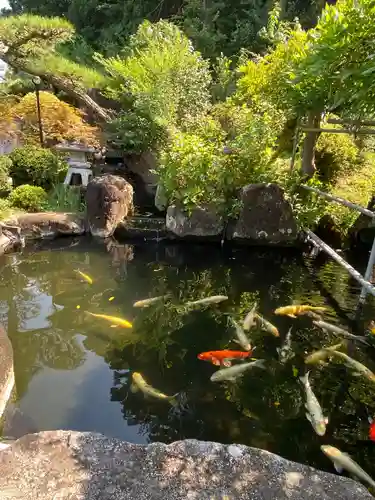 阿彌陀院の庭園