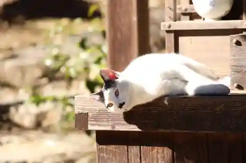 玉野御嶽神社(愛知県)