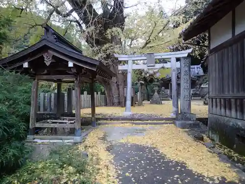 素盞雄神社の手水舎