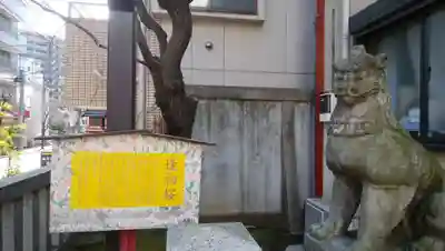 吉原神社の狛犬