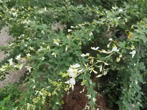 宝戒寺(神奈川県)