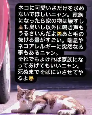 専念寺(大阪府)