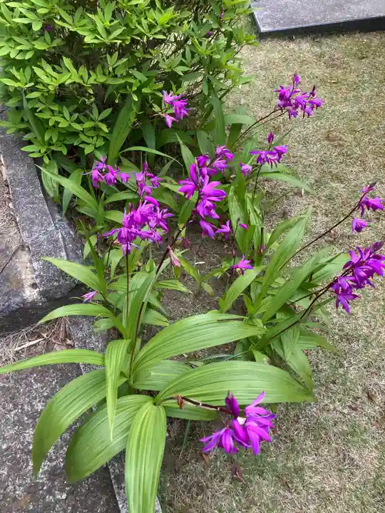 仏行寺(佛行寺)(神奈川県)