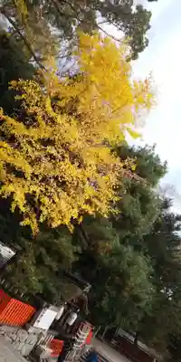 賀茂御祖神社（下鴨神社）のその他建物