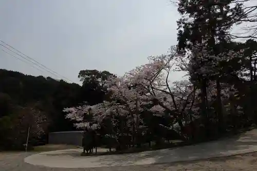 海住山寺の自然