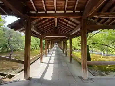 東福禅寺(東福寺)(京都府)