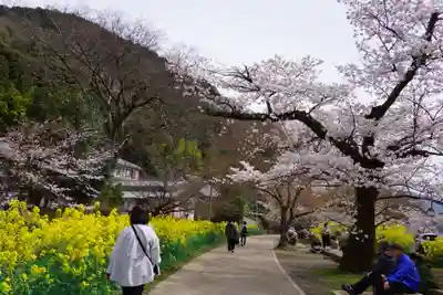 毘沙門堂門跡(京都府)