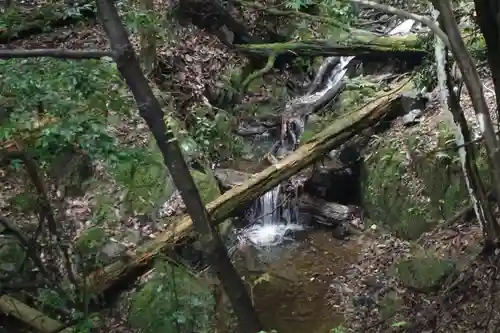 醍醐寺（上醍醐）の自然