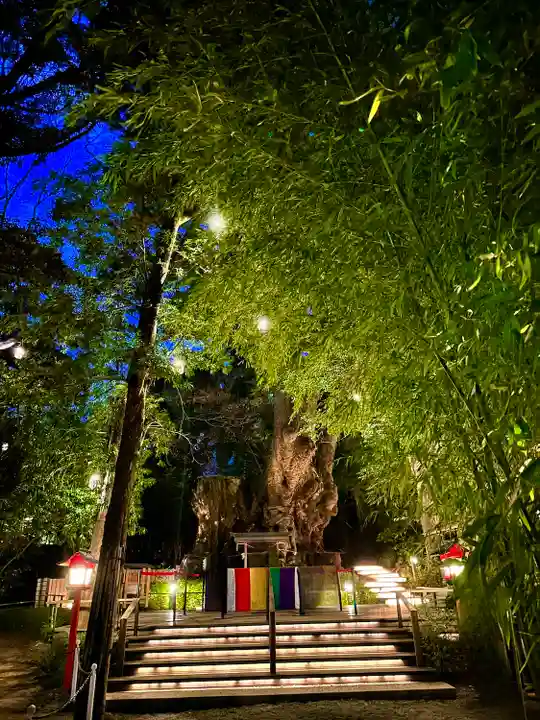 來宮神社(静岡県)