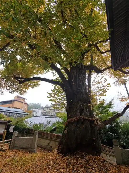 北向観音(長野県)