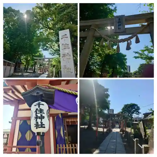 千住神社の{uncategorized: "未分類", other: "その他", undefined: "問題あり", building: "その他建物", grave: "お墓", sacred_gate: "鳥居", guardian: "狛犬", statue: "像", buddha: "仏像", history: "歴史", nature: "自然", garden: "庭園", animal: "動物", pagoda: "塔", temizu: "手水舎", mountain_gate: "山門・神門", sanctuary: "本殿・本堂", subordinate: "末社・摂社", art: "芸術", scenery: "景色", jizo: "地蔵", ema: "絵馬", goshuin: "御朱印", omikuji: "おみくじ", items: "授与品その他", amulet: "お守り", goshuincho: "御朱印帳", eats: "食事", festival: "お祭り", votive_dance: "神楽", shichigosan: "七五三参", wedding: "結婚式", experience: "体験その他", initially: "初詣", around: "周辺", anti_infection: "感染症対策"}