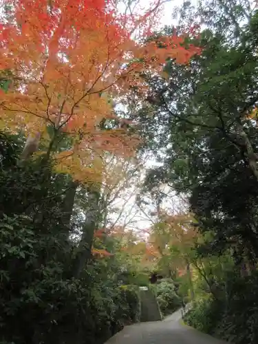 妙本寺の景色