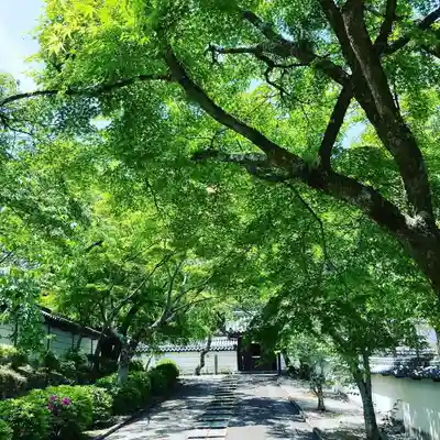 金剛寺のその他建物