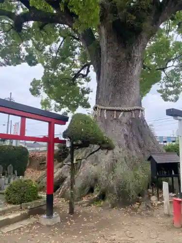 尾崎稲荷大明神(大阪府)