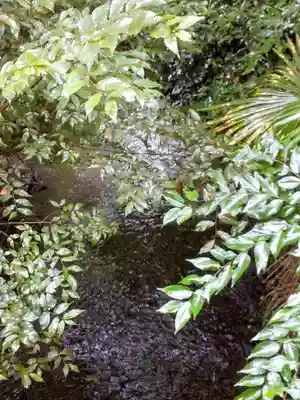 熊野神社の周辺