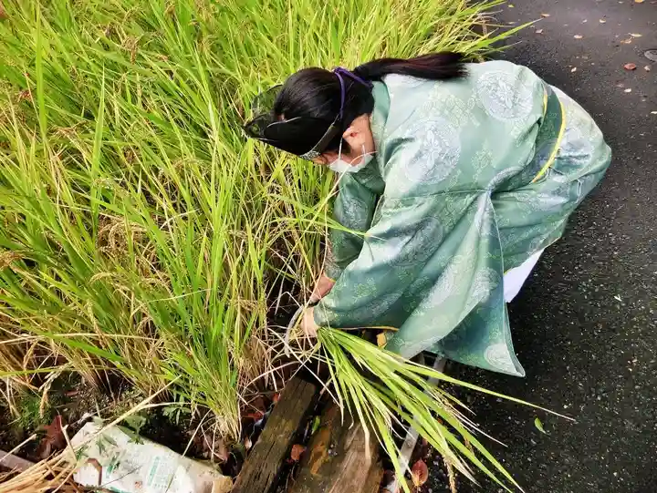 立志神社(滋賀県)