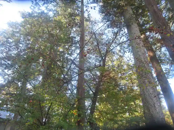 上杉神社(山形県)