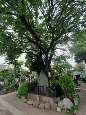 白山神社(東京都)