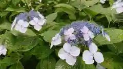 磯山神社(栃木県)