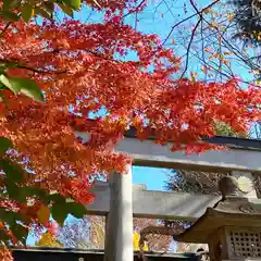 小野神社の自然