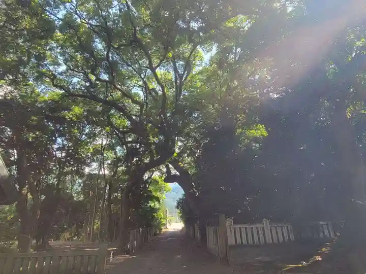伊曽乃神社(愛媛県)