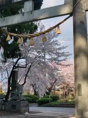 駒形神社の{uncategorized: "未分類", other: "その他", undefined: "問題あり", building: "その他建物", grave: "お墓", sacred_gate: "鳥居", guardian: "狛犬", statue: "像", buddha: "仏像", history: "歴史", nature: "自然", garden: "庭園", animal: "動物", pagoda: "塔", temizu: "手水舎", mountain_gate: "山門・神門", sanctuary: "本殿・本堂", subordinate: "末社・摂社", art: "芸術", scenery: "景色", jizo: "地蔵", ema: "絵馬", goshuin: "御朱印", omikuji: "おみくじ", items: "授与品その他", amulet: "お守り", goshuincho: "御朱印帳", eats: "食事", festival: "お祭り", votive_dance: "神楽", shichigosan: "七五三参", wedding: "結婚式", experience: "体験その他", initially: "初詣", around: "周辺", anti_infection: "感染症対策"}