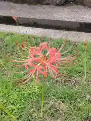 横浜　西方寺(神奈川県)