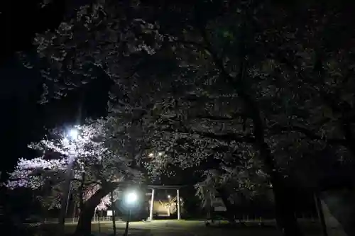 田村神社の鳥居