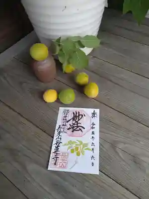 妙蓮寺(神奈川県)