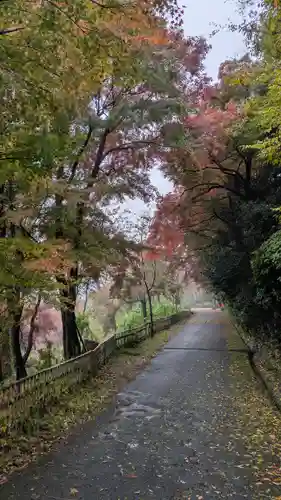 観音寺（山崎聖天）(京都府)
