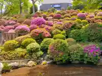 根津神社(東京都)