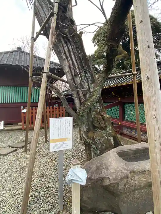 上野東照宮のその他建物