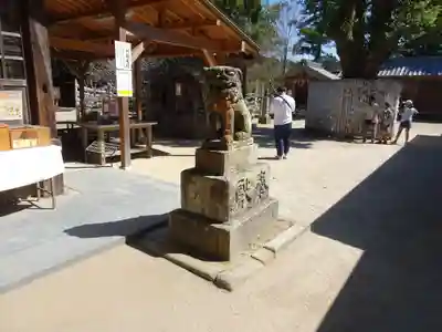 櫻井神社の狛犬