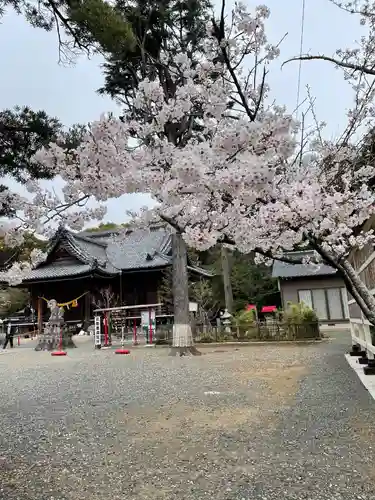 牟呂八幡宮の自然
